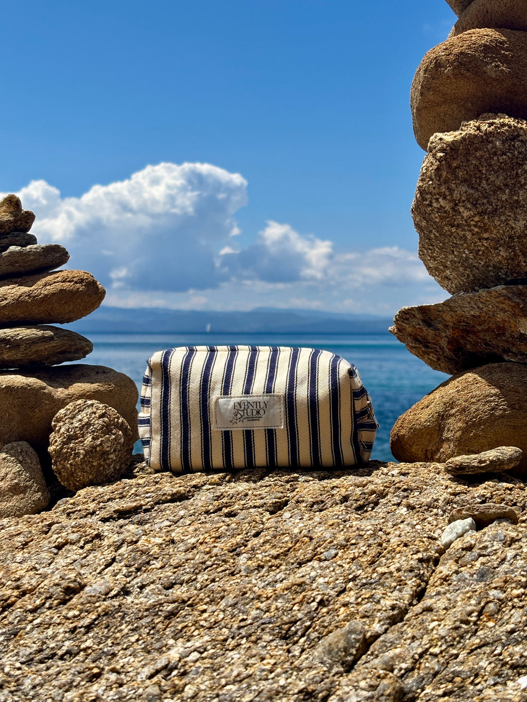 Mini Makeup Bag French Navy